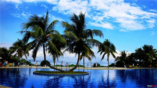 兰芳园丝袜奶茶