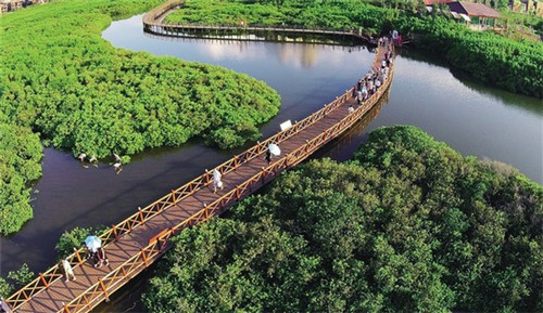 鲜尚轩斑鱼火锅