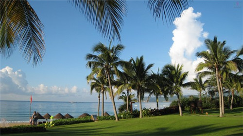 马斯的火锅杯加盟现状如何