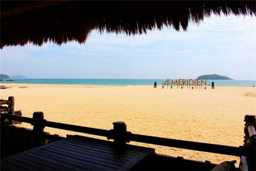 胡歌说的恐龙是什么（胡歌说的恐龙是什么龙）